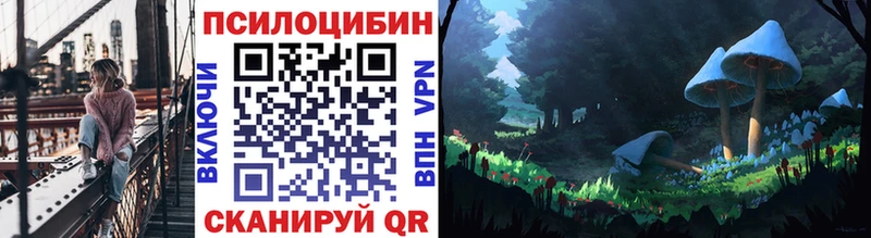 MEGA сайт Киров Галлюциногенные грибы Psilocybe цена