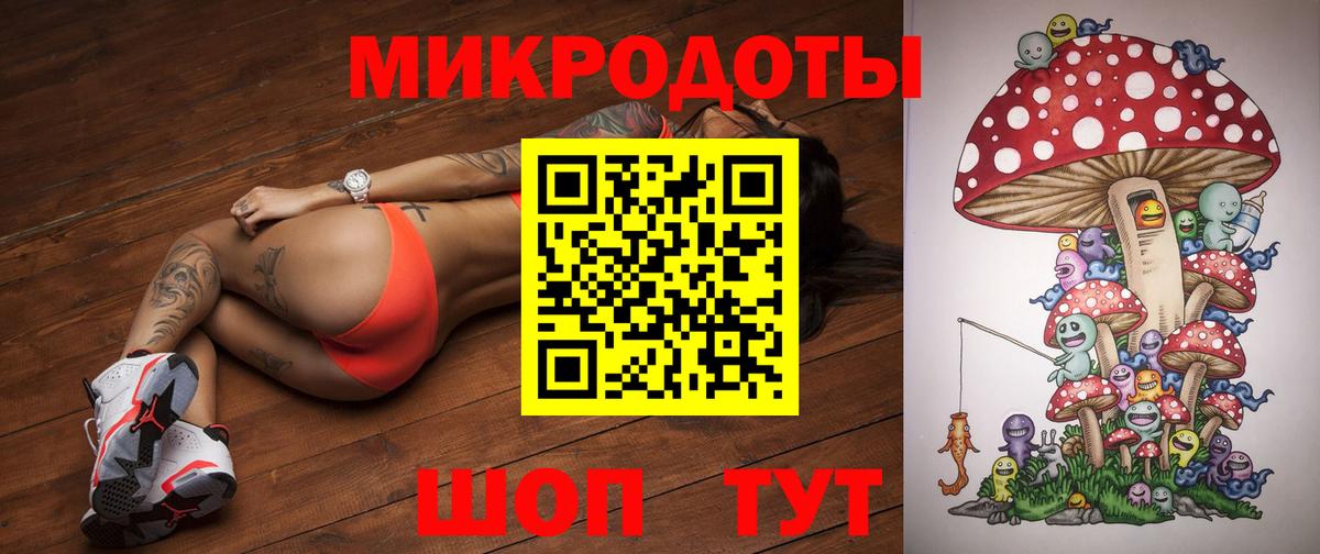 Россия  Псилоцибиновые грибы мицелий  Вход с VPN 
