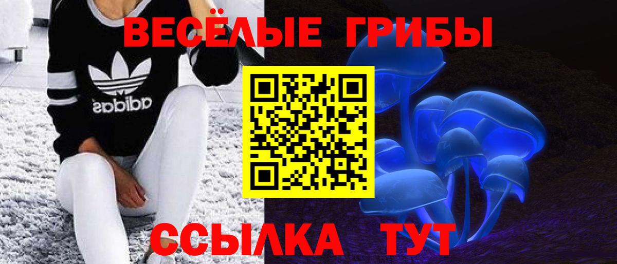 Галлюциногенные грибы мухоморы Россия