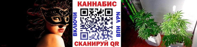 Конопля конопля Киров